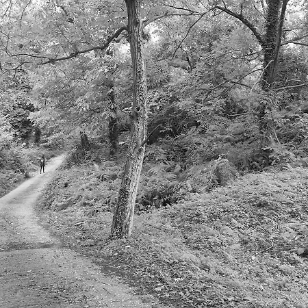 فندق مبيت وإفطار Kalderimi 4*