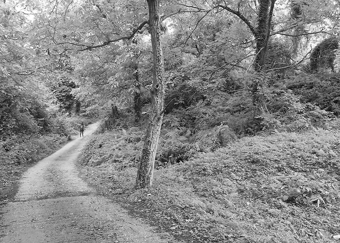 Bed and breakfast Kalderimi 4*