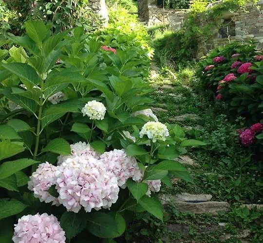 Bed and breakfast Kalderimi 4*