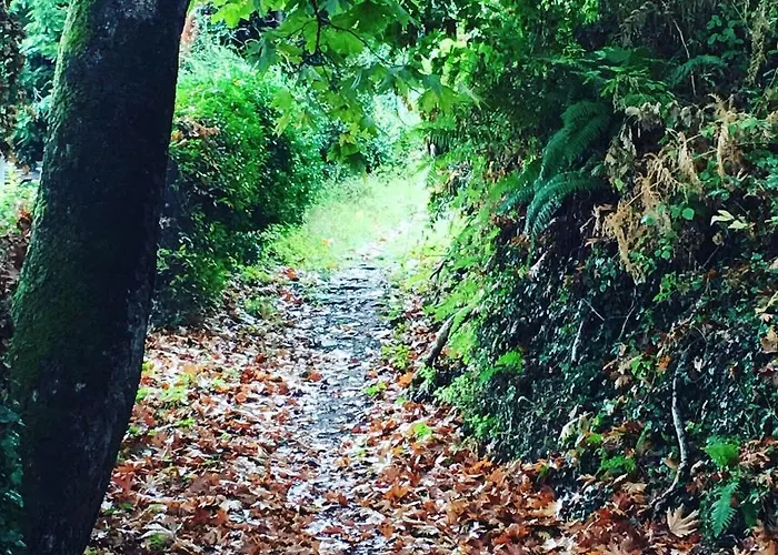 Kalderimi Mourésion