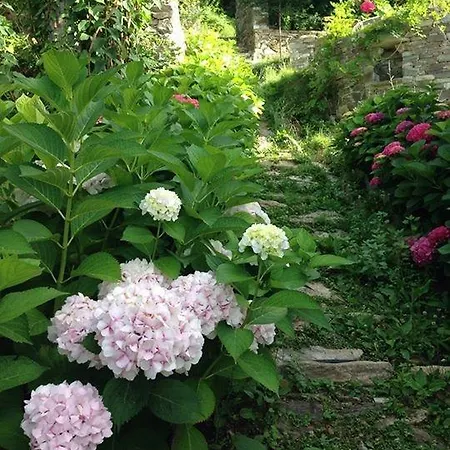 Alojamento de Acomodação e Pequeno-almoço Kalderimi 4*