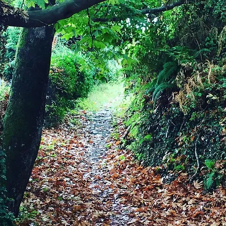 Kalderimi Mourésion