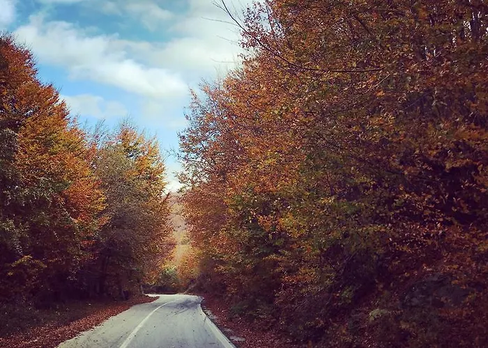 Bed and breakfast Kalderimi